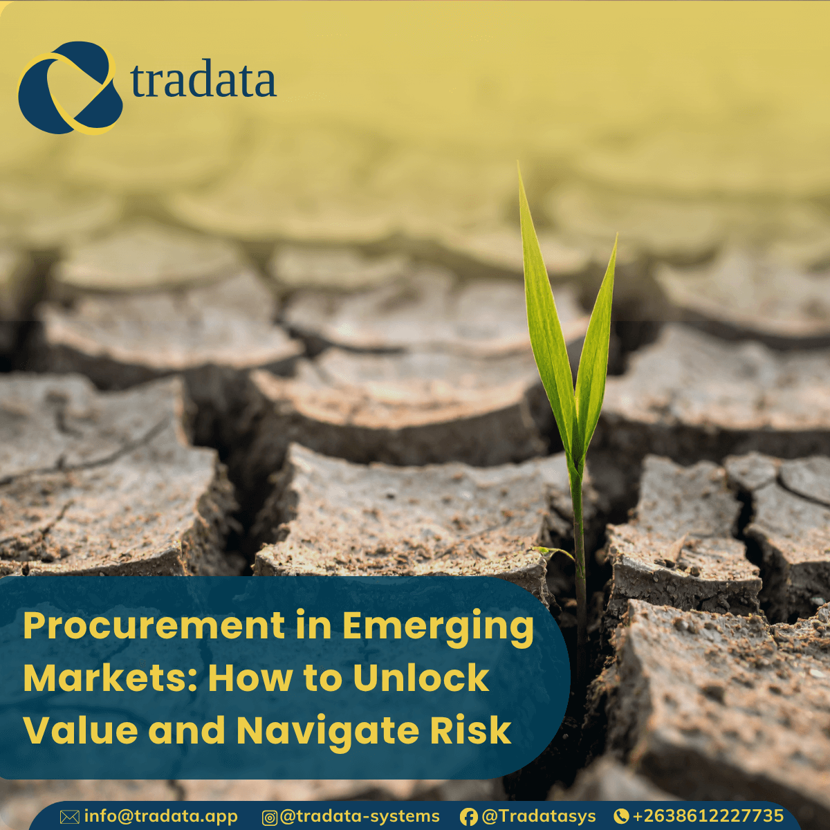 Procurement in Emerging Markets: How to Unlock Value and Navigate Risk